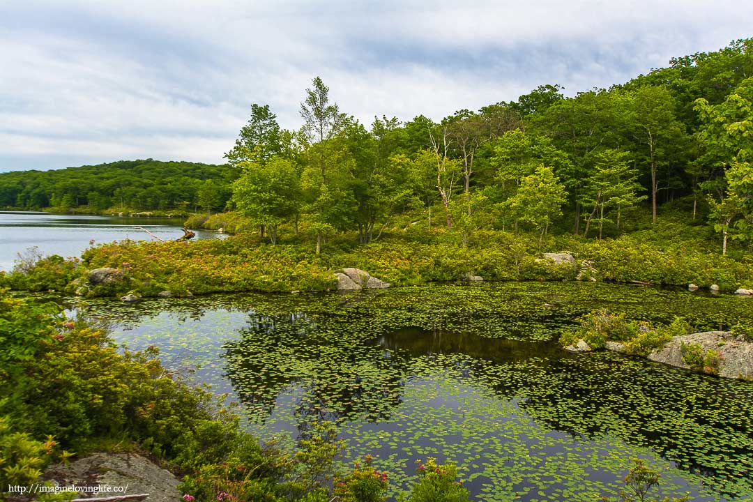 lake skenonto